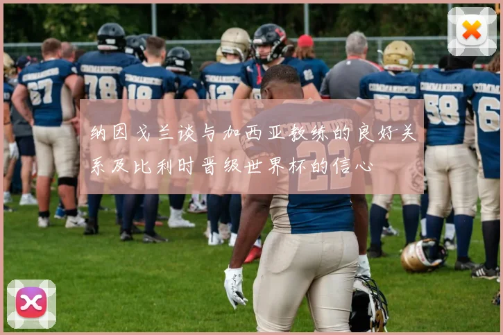 纳因戈兰谈与加西亚教练的良好关系及比利时晋级世界杯的信心