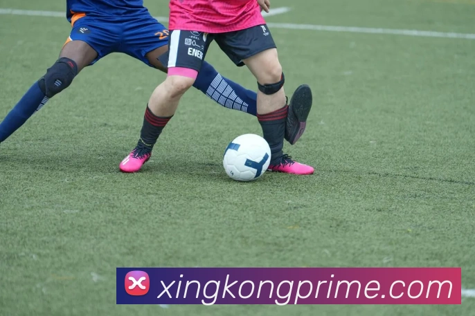 星空体育平台生态图