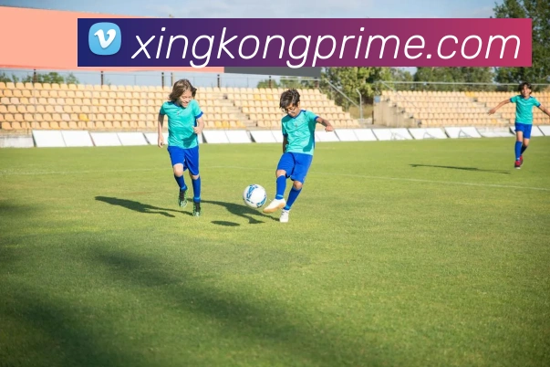 星空体育全站App