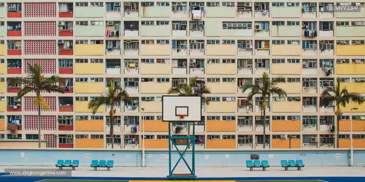 互动时刻,与你同在!💬🎉